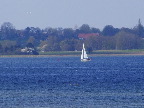 image/_roskilde_fjord-578.jpg
