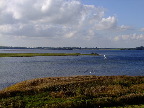 image/_roskilde_fjord-579.jpg