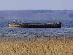 image/_roskilde_fjord-588.jpg