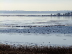 image/_roskilde_fjord-589.jpg