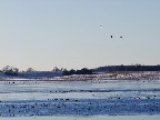 image/_roskilde_fjord-590.jpg