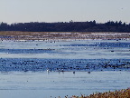 image/_roskilde_fjord-591.jpg