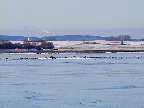 image/_roskilde_fjord-594.jpg