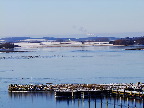 image/_roskilde_fjord-595.jpg