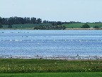 image/_roskilde_fjord-611.jpg