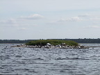 image/_roskilde_fjord-618.jpg