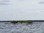 image/_roskilde_fjord-619.jpg