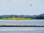 image/_roskilde_fjord-624.jpg