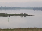 image/_roskilde_fjord-6272.jpg