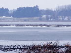 image/_roskilde_fjord-629.jpg