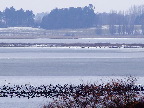 image/_roskilde_fjord-630.jpg