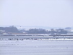 image/_roskilde_fjord-633.jpg