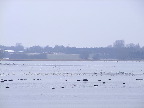 image/_roskilde_fjord-634.jpg