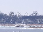 image/_roskilde_fjord-635.jpg