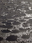 image/_roskilde_fjord-637.jpg