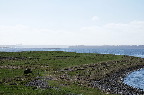image/_roskilde_fjord-6501.jpg