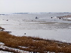 image/_roskilde_fjord-651.jpg