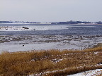 image/_roskilde_fjord-652.jpg