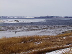 image/_roskilde_fjord-653.jpg