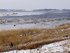 image/_roskilde_fjord-654.jpg
