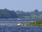 image/_roskilde_fjord-655.jpg