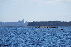 image/_roskilde_fjord-6582.jpg