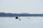 image/_roskilde_fjord-6612.jpg