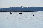 image/_roskilde_fjord-6613.jpg