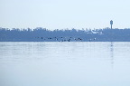 image/_roskilde_fjord-6618.jpg