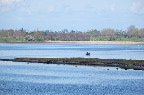 image/_roskilde_fjord-6873.jpg