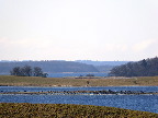 image/_roskilde_fjord-7332.jpg