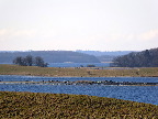 image/_roskilde_fjord-7333.jpg