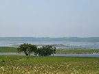 image/_roskilde_fjord-7379.jpg