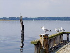 image/_roskilde_fjord-7388.jpg
