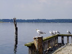 image/_roskilde_fjord-7390.jpg