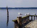 image/_roskilde_fjord-7391.jpg