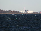 image/_roskilde_fjord-7437.jpg