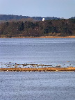 image/_roskilde_fjord-7497.jpg
