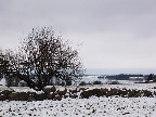 image/_roskilde_fjord-7576.jpg