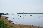 image/_roskilde_fjord-7644.jpg