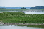 image/_roskilde_fjord-7646.jpg