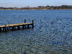 image/_roskilde_fjord-7678.jpg