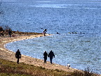 image/_roskilde_fjord-7680.jpg