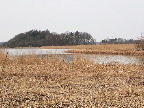 image/_roskilde_fjord-7692.jpg