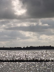 image/_roskilde_fjord-783.jpg