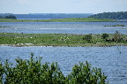 image/_roskilde_fjord-7922.jpg