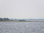 image/_roskilde_fjord-8437.jpg