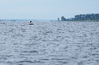 image/_roskilde_fjord-8759.jpg