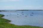 image/_roskilde_fjord-8824.jpg