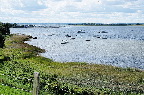 image/_roskilde_fjord-8992.jpg